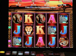 星空电竞app2024最新版